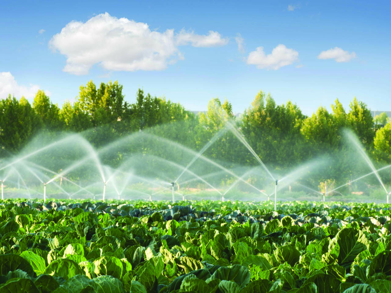 prodotti professionali settore irrigazione