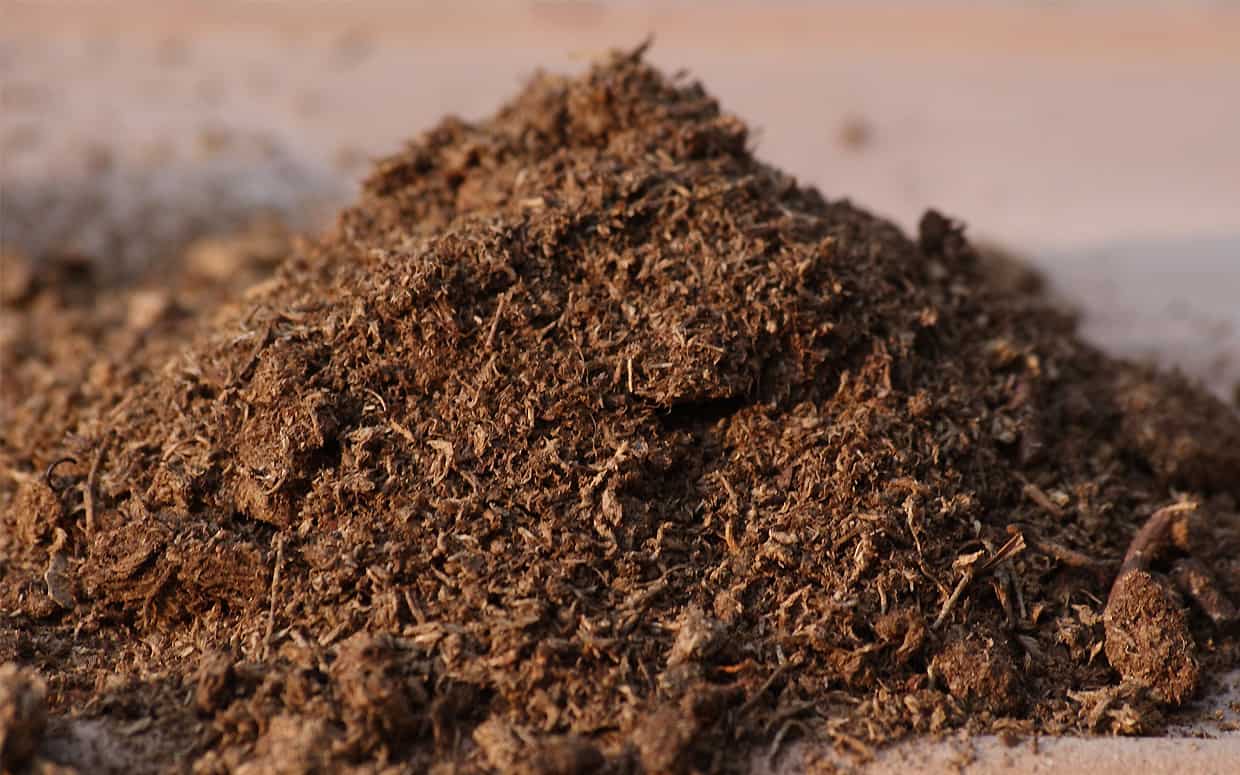 Terricci Torba Concimi Sementi
