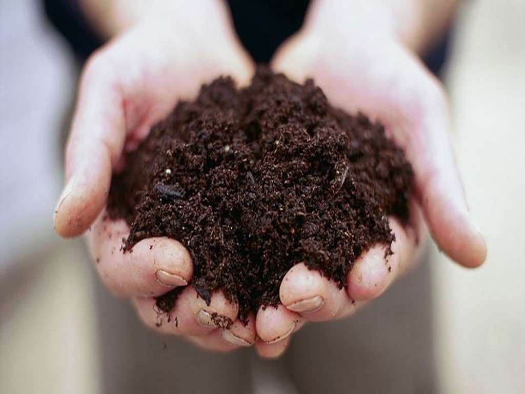 Terricci Torba Concimi Sementi