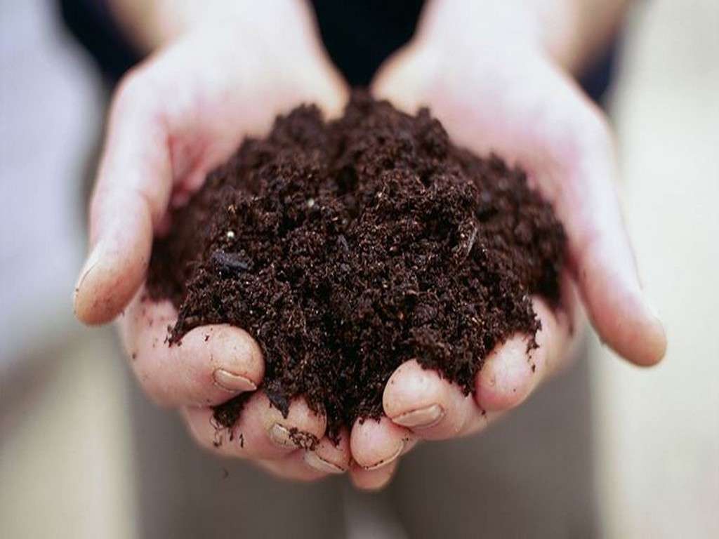 OlmoGarden è Terricci Torba Concimi a Firenze